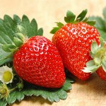 Strawberry fragrance oil